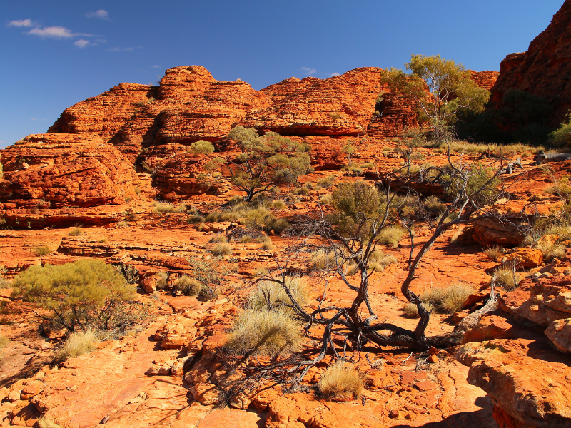 Red Centre Way da Alice Springs — 10